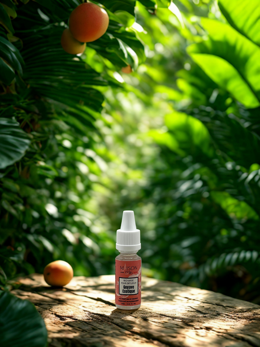 Recharge pour Diffuseur de Voiture 🚗 | Maison 1916 ✨ Maison 1916