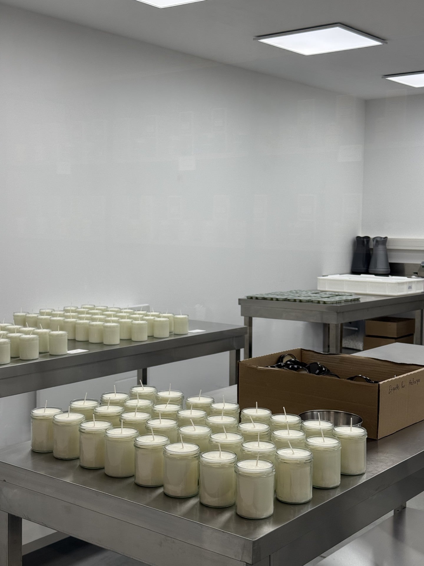 Cire de colza Ecocert : l'âme silencieuse de nos bougies.