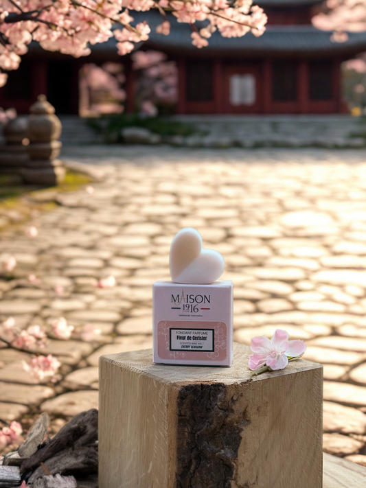 Fondant Parfumé🕯️Fleur de Cerisier | Maison 1916✨ Maison 1916