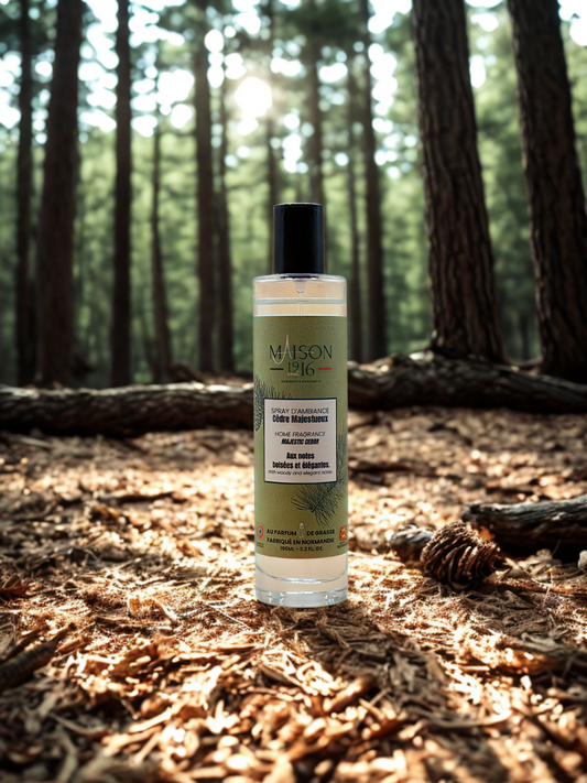 Spray d'Ambiance 💨 Cèdre Majestueux | Maison 1916✨ Maison 1916