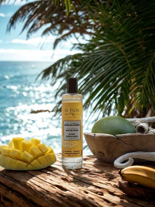 Spray d'Ambiance 💨 Mangue de La Réunion | Maison 1916✨ Maison 1916