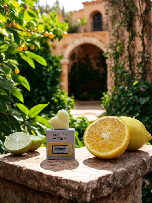 Fondant Parfumé🕯️Jardin d'Agrumes | Maison 1916✨ Maison 1916