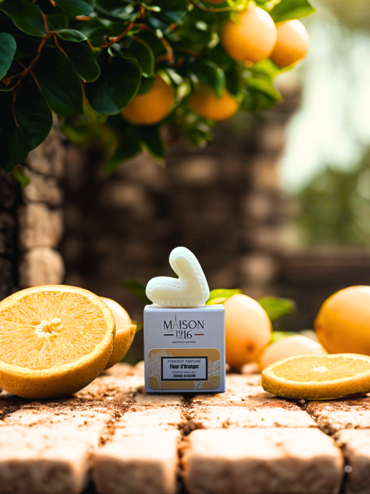 Fondant Parfumé🕯️Fleur d'Oranger | Maison 1916✨ Maison 1916