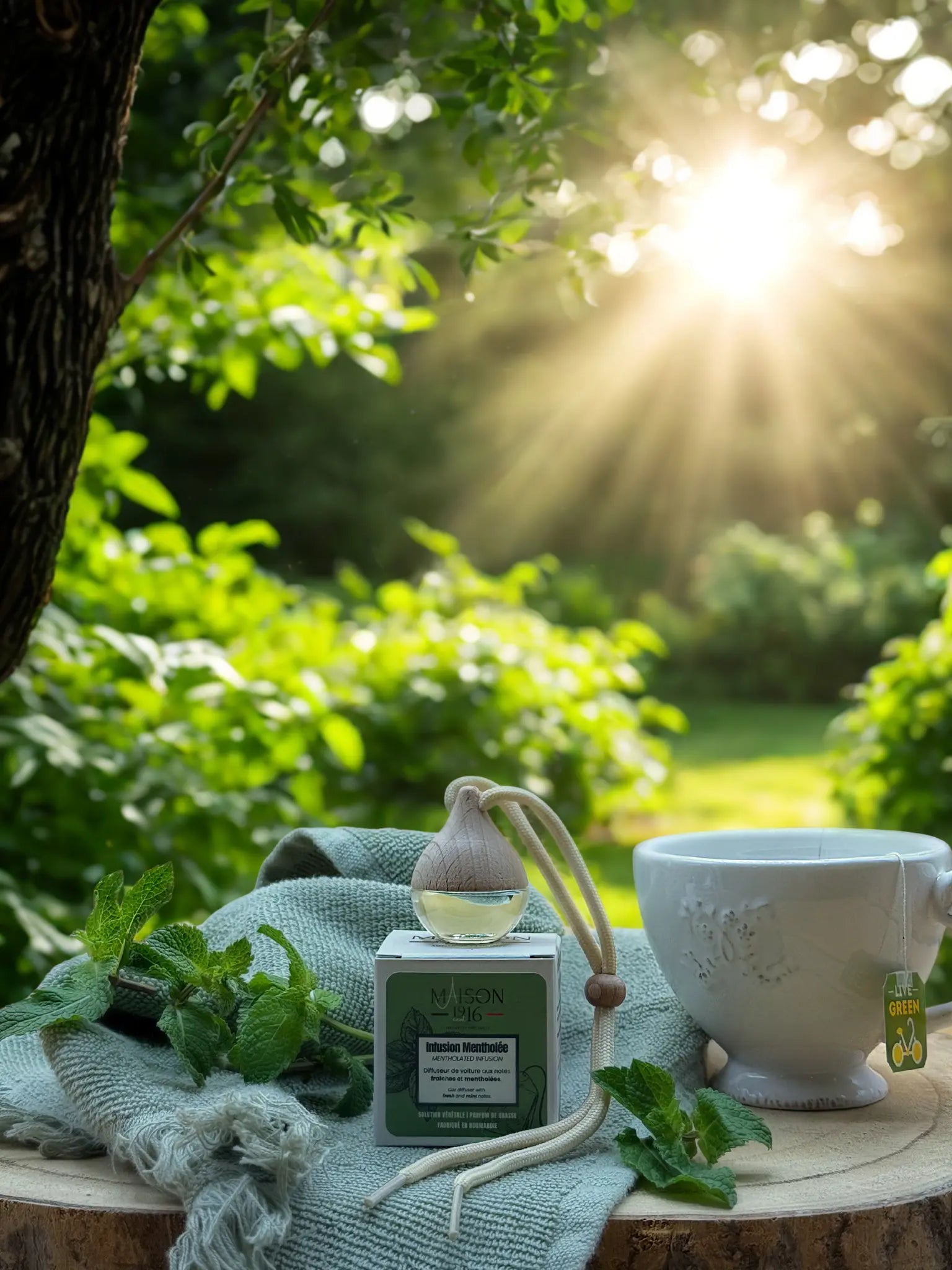 Diffuseur de Voiture 🚗 Infusion Mentholée | Maison 1916 ✨ Maison 1916