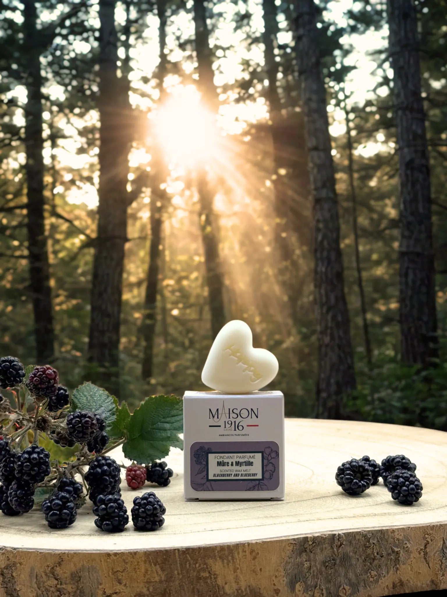 Fondant Parfumé🕯️Mûre & Myrtille | Maison 1916✨ Maison 1916