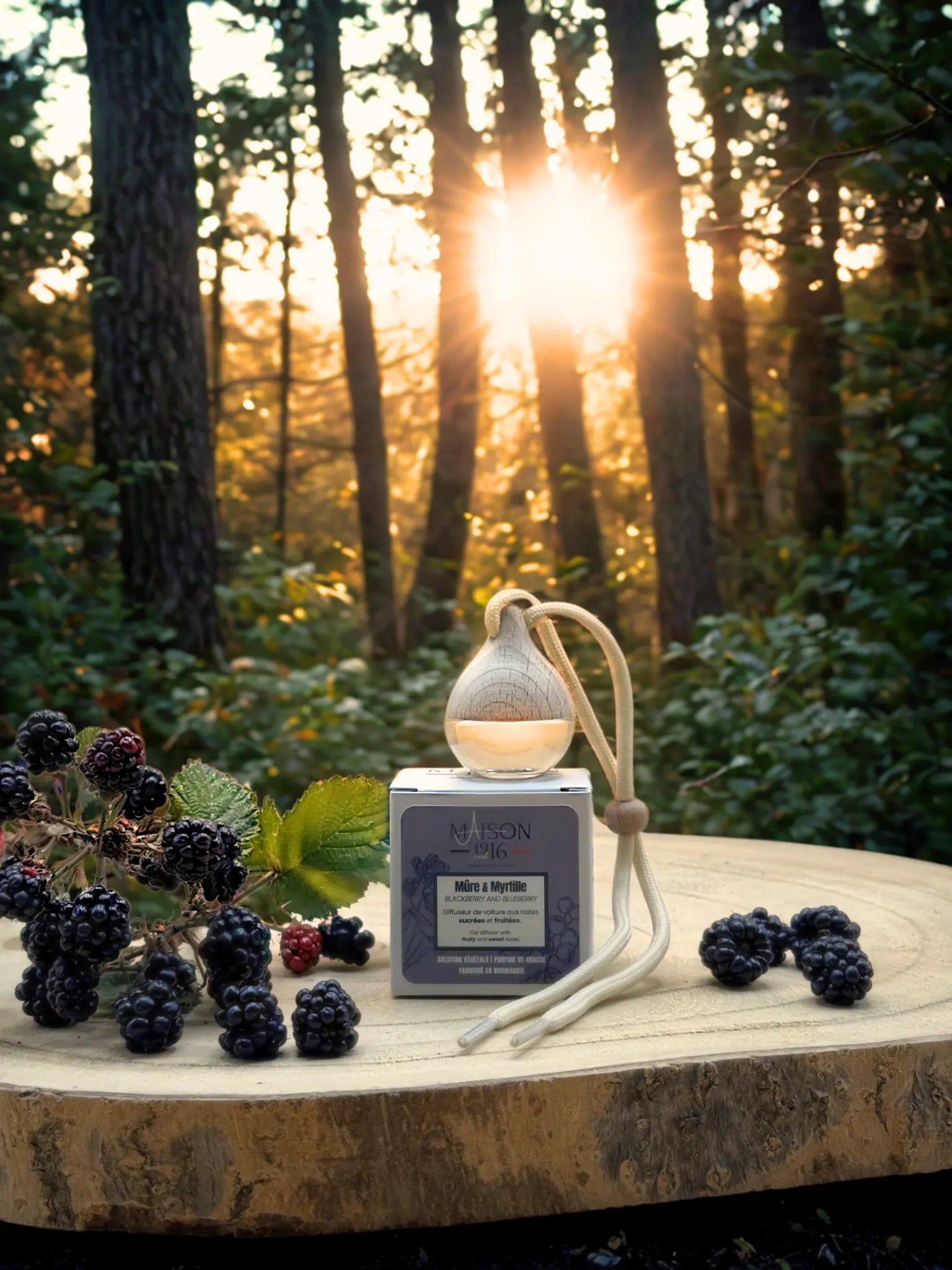 Diffuseur de Voiture 🚗 Mûre et Myrtille | Maison 1916 ✨ Maison 1916