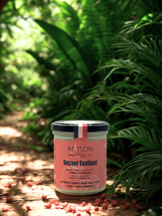 Bougie Parfumée🕯️Goyave Exotique | Maison 1916✨ Maison 1916