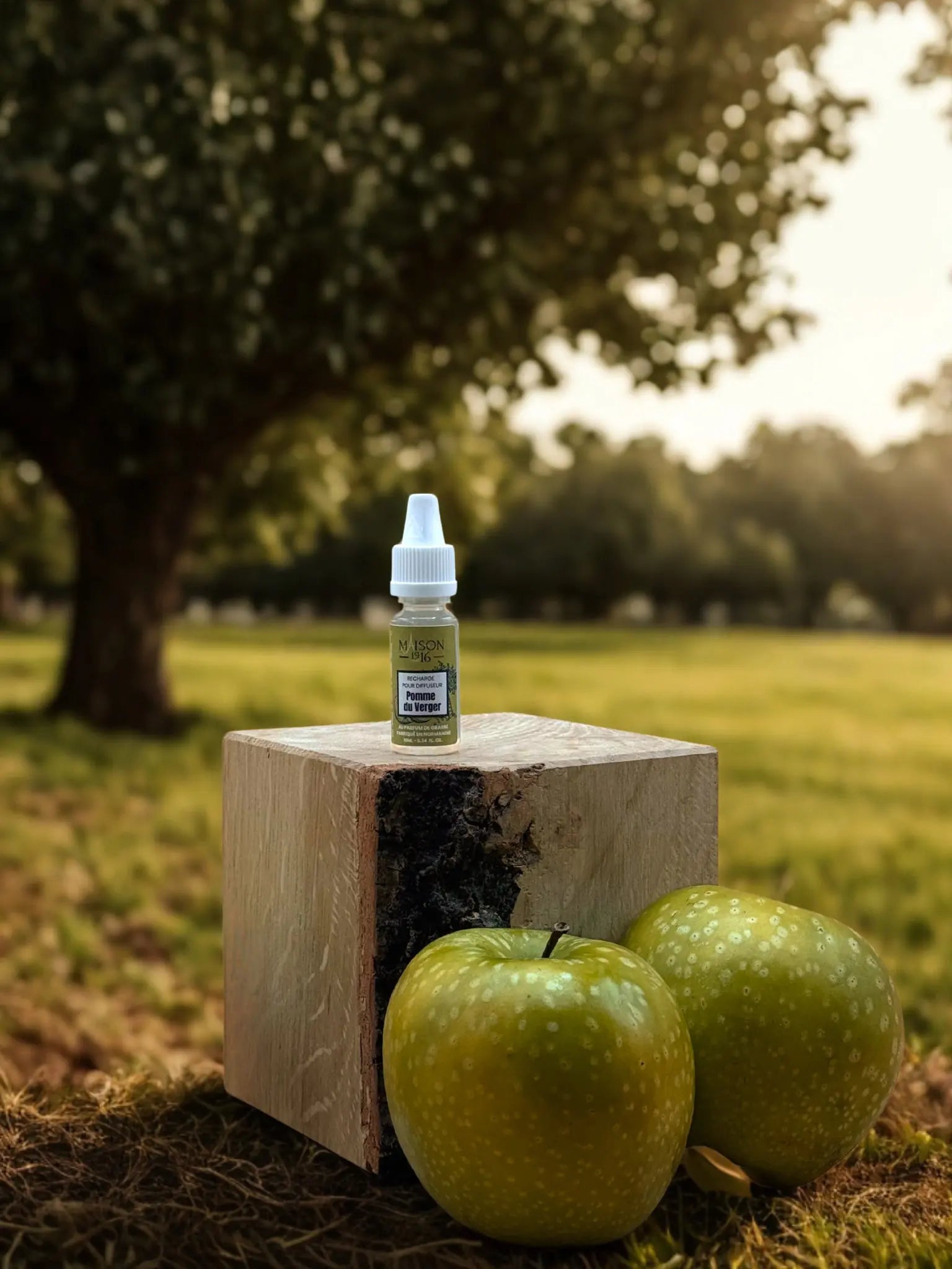 Recharge pour Diffuseur de Voiture 🚗 | Maison 1916 ✨ Maison 1916