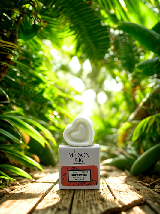 Fondant Parfumé🕯️Goyave Exotique | Maison 1916✨ Maison 1916
