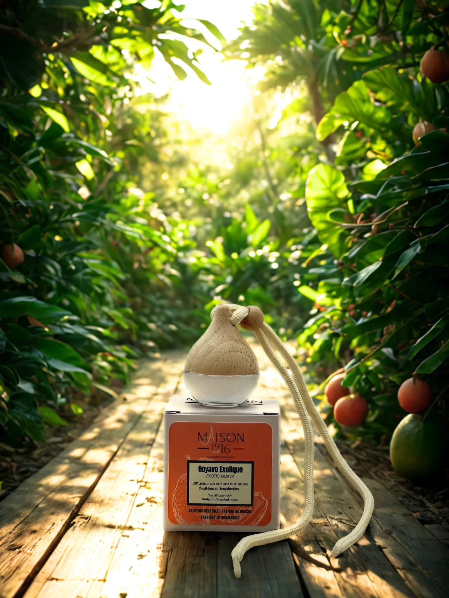 Diffuseur de Voiture 🚗 Goyave Exotique | Maison 1916✨ Maison 1916