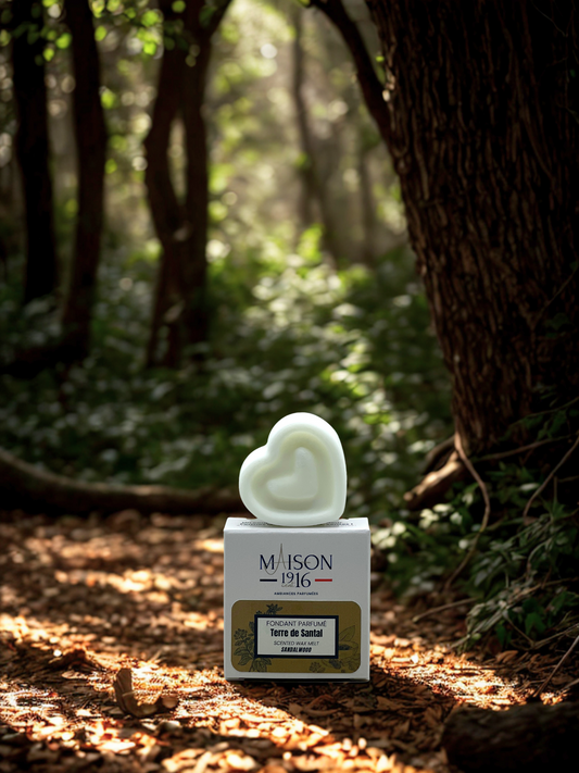 Fondant Parfumé🕯️Terre de Santal | Maison 1916✨ Maison 1916
