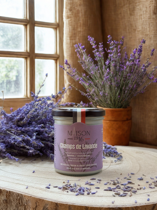 Bougie Parfumée🕯️Champs de Lavande | Maison 1916✨ Maison 1916