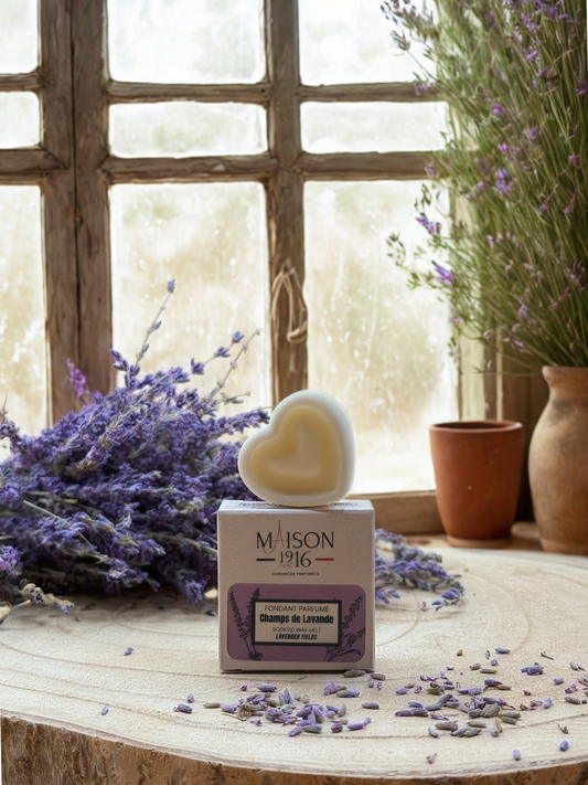Fondant Parfumé🕯️Champs de Lavande | Maison 1916✨ Maison 1916