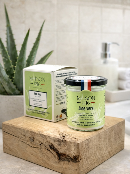 Bougie Parfumée🕯️Aloe Vera | Maison 1916✨