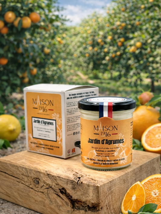 Bougie Parfumée🕯️Jardin d'Agrumes | Maison 1916✨