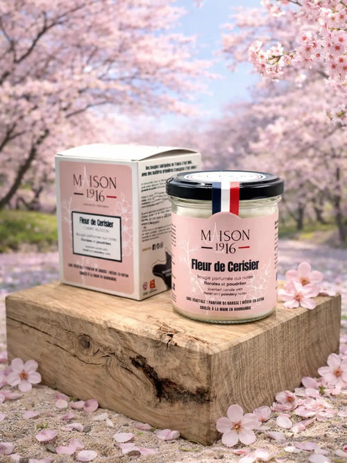 Bougie Parfumée - Fleur de Cerisier | Maison 1916✨ Maison 1916