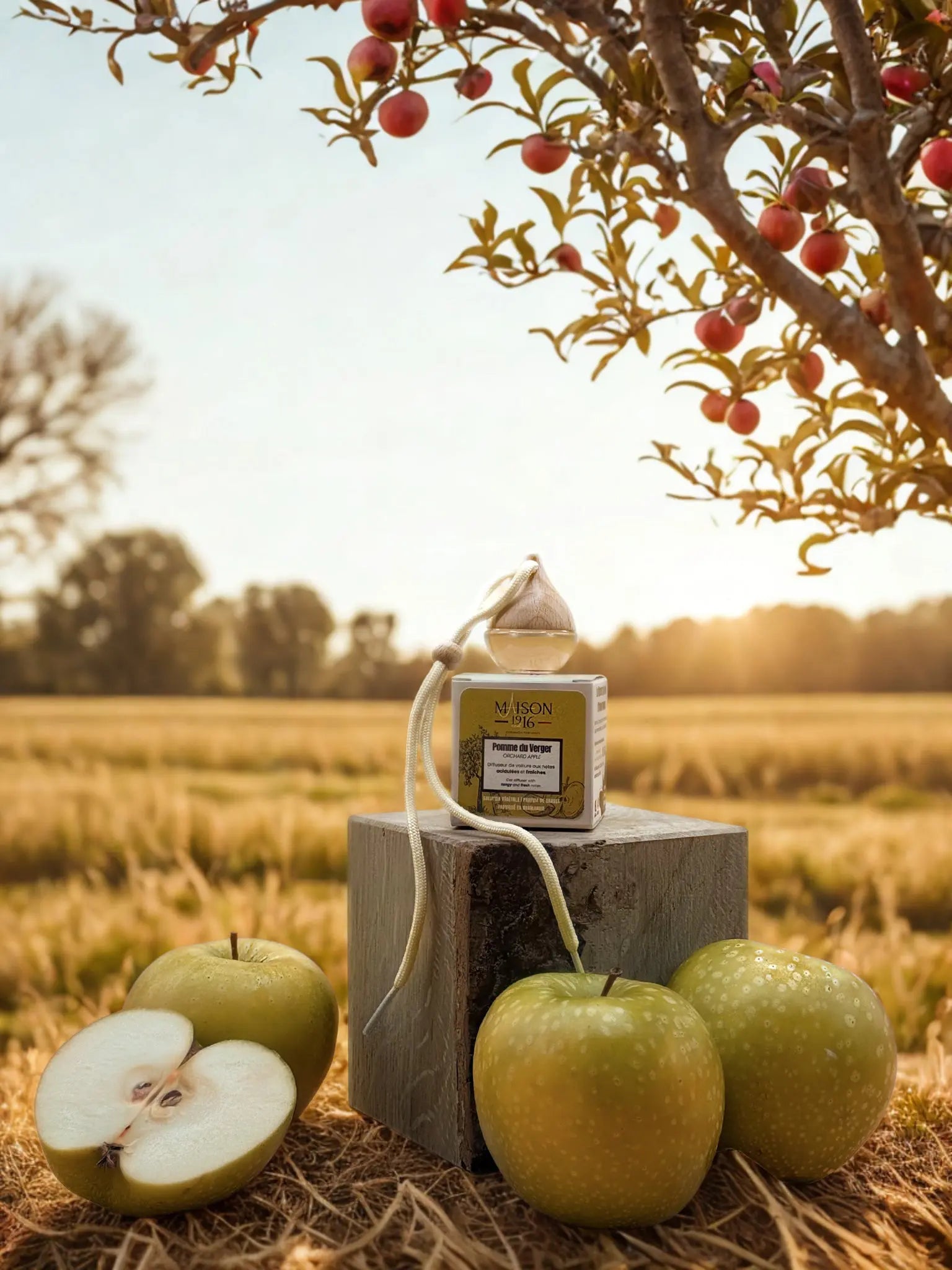 Diffuseur de Voiture 🚗 Pomme du Verger | Maison 1916✨ Maison 1916