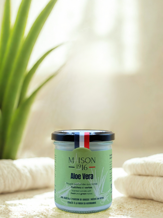 Bougie Parfumée🕯️Aloe Vera | Maison 1916✨ Maison 1916