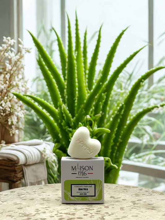 Fondant Parfumé🕯️Aloe Vera | Maison 1916✨ Maison 1916