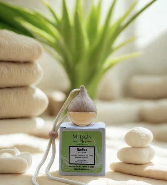 Diffuseur de Voiture 🚗 Aloe Vera | Maison 1916✨ Maison 1916
