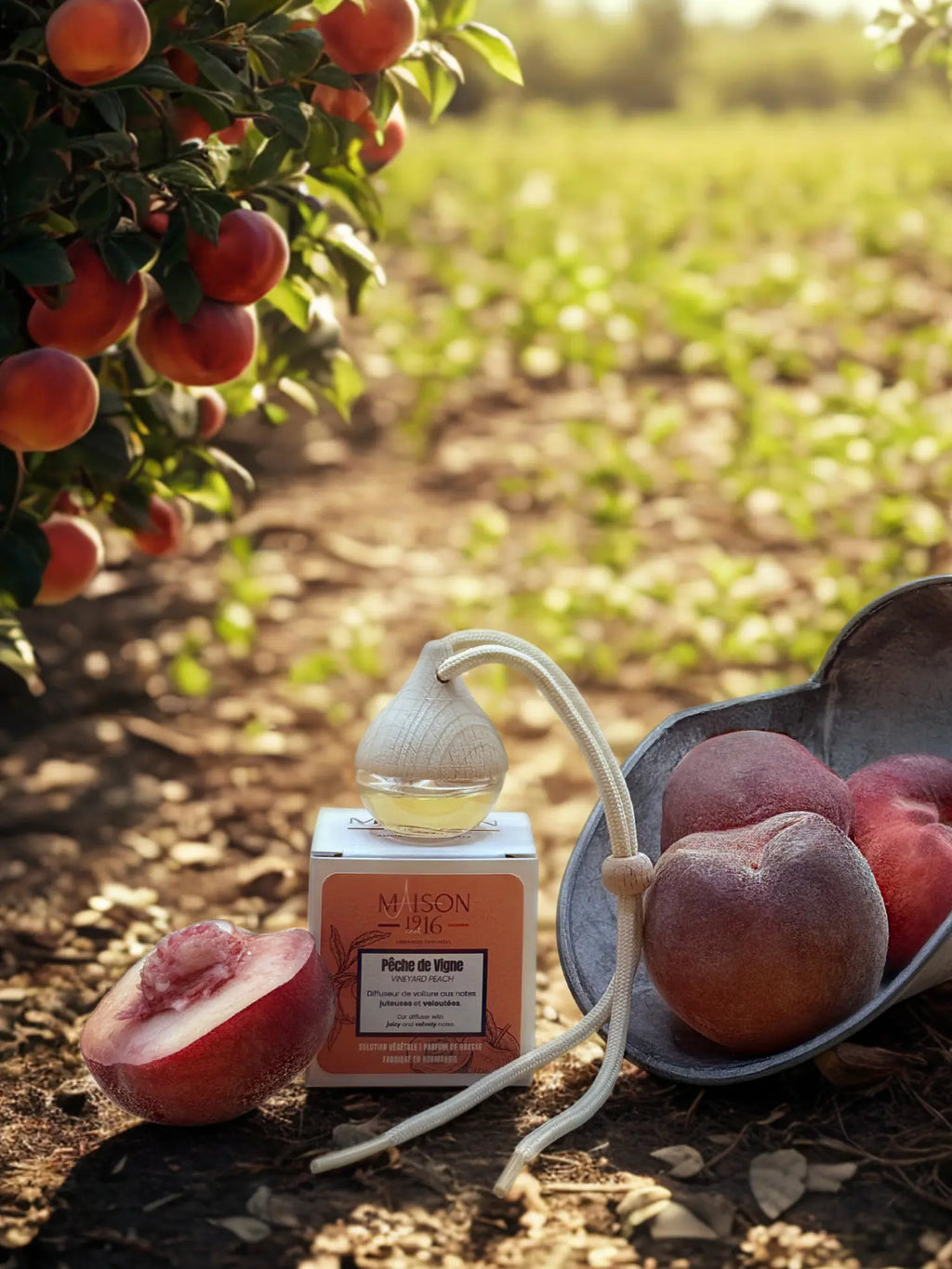 Diffuseur de Voiture 🚗 Pêche de Vigne | Maison 1916✨ Maison 1916