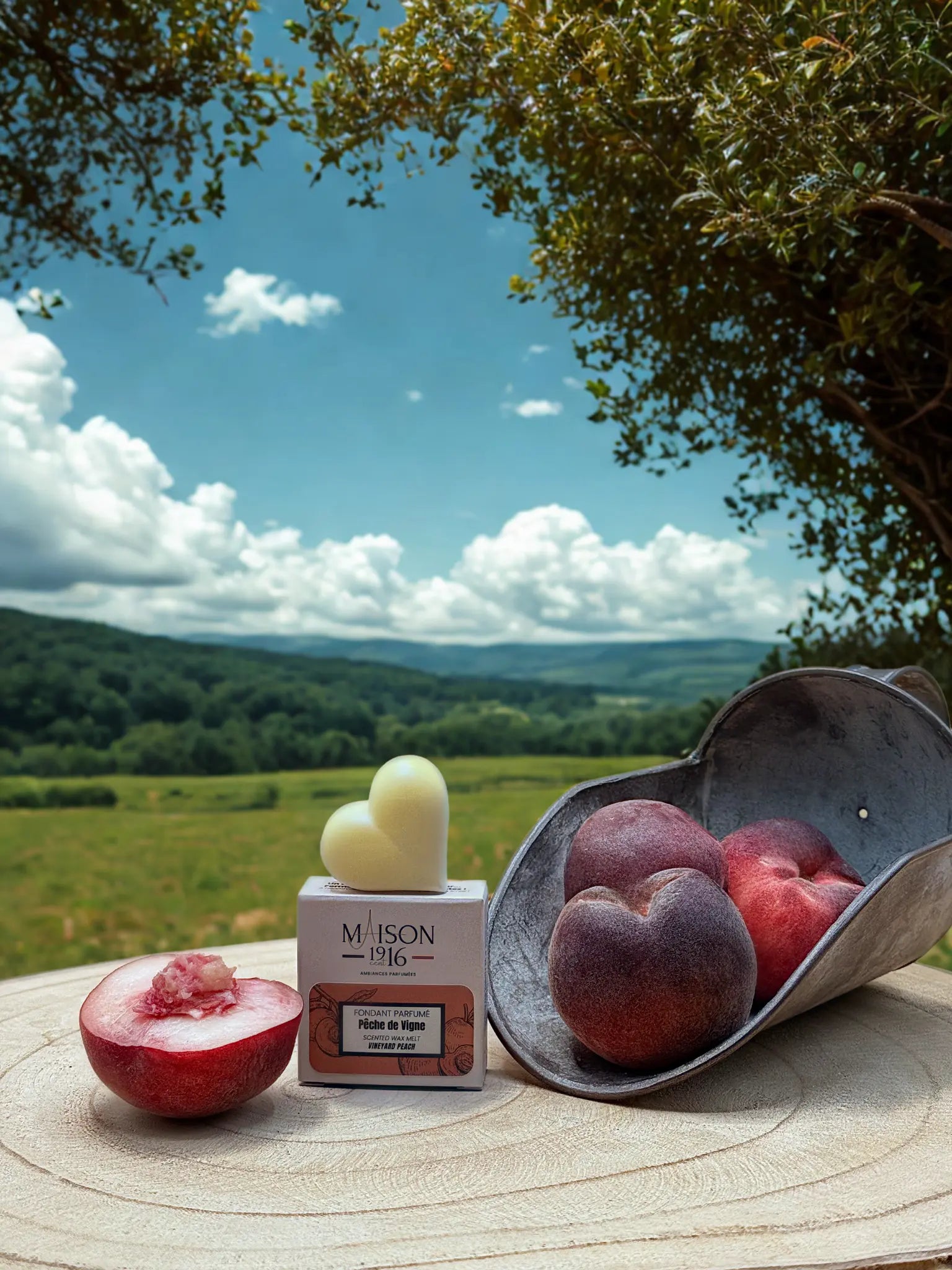 Fondant Parfumé🕯️Pêche de Vigne | Maison 1916✨ Maison 1916