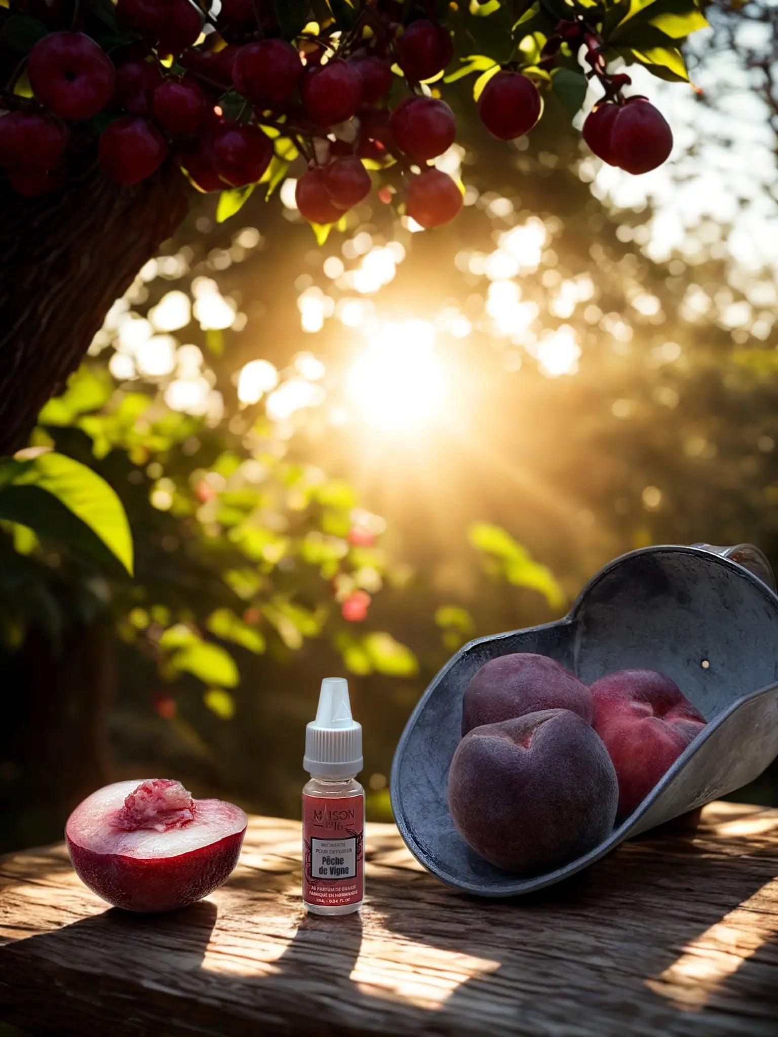 Recharge pour Diffuseur de Voiture 🚗 | Maison 1916 ✨ Maison 1916
